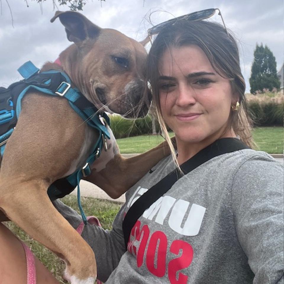 Mercury (mom), an adoptable Basenji, Boxer in St. Peters, MO, 63376 | Photo Image 6