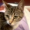 Hattie photo 3