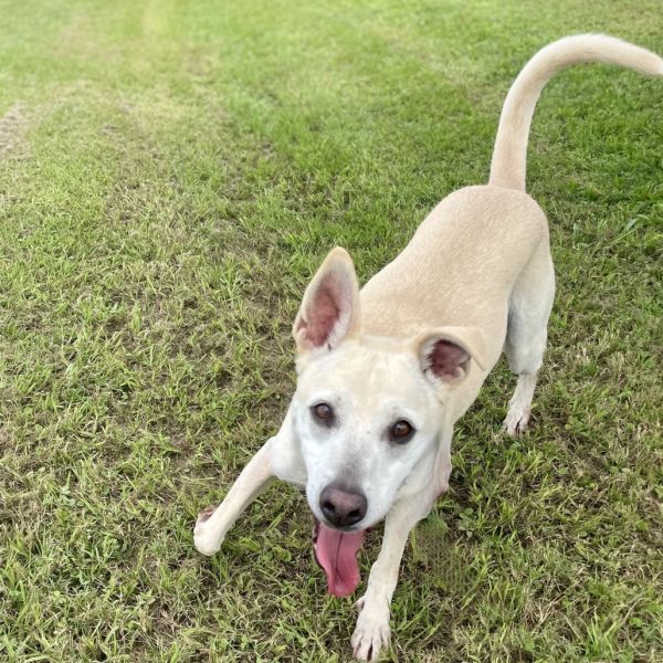 Garrison thumbnail 2