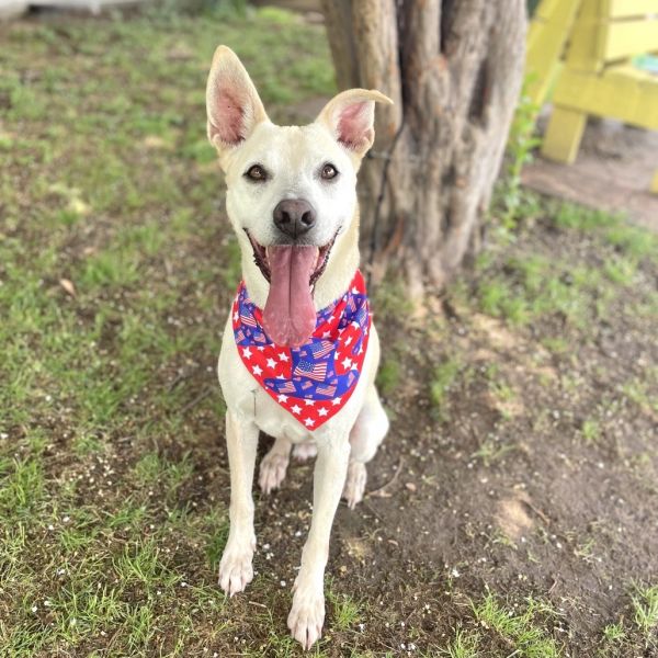 Garrison thumbnail 3