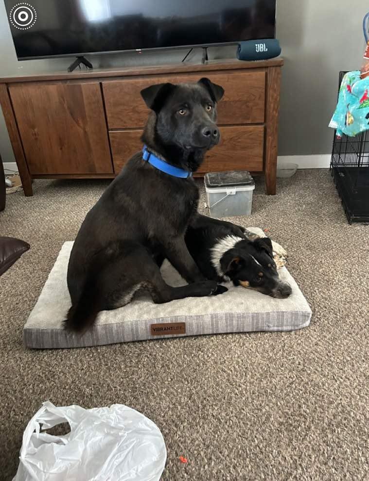 Jax