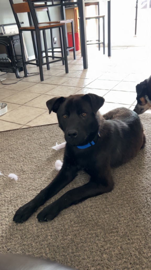 Jax