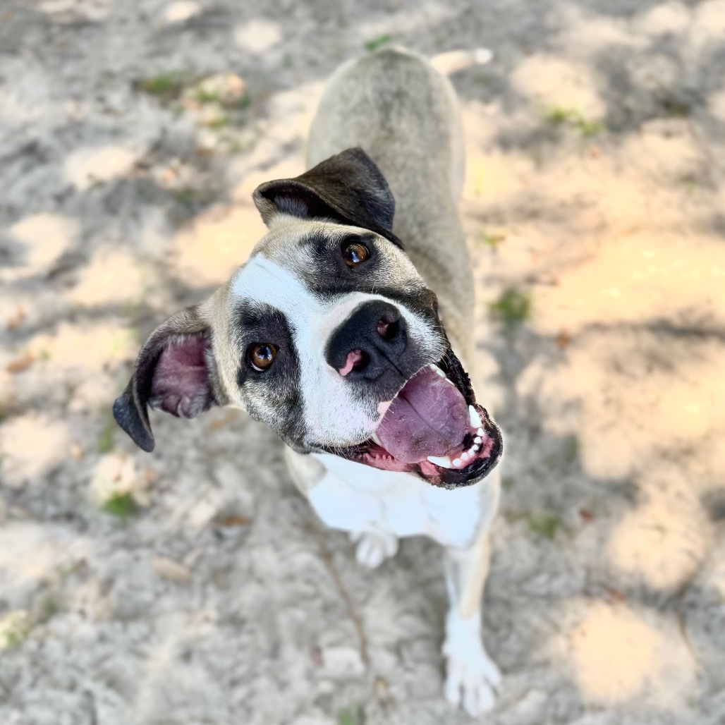 Maggie