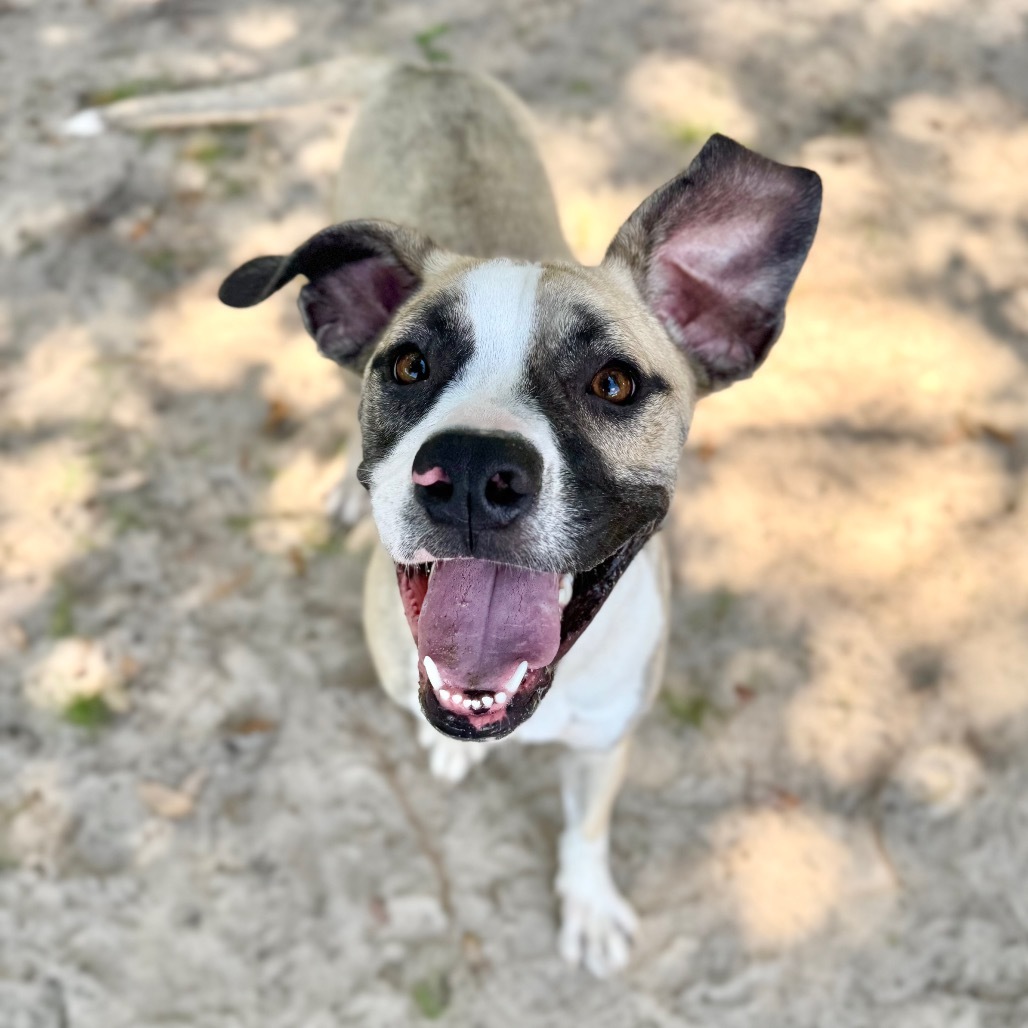 Maggie