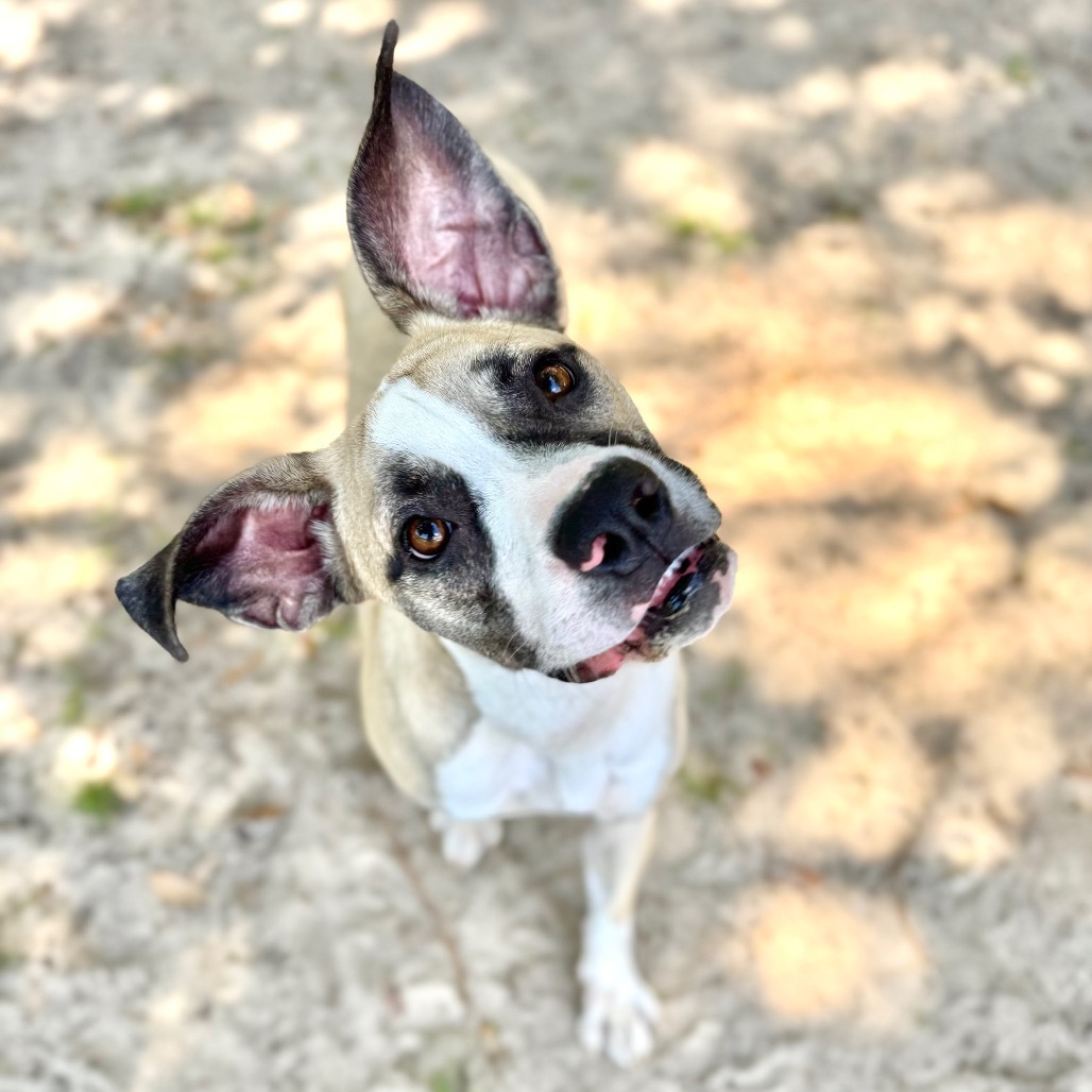 Maggie