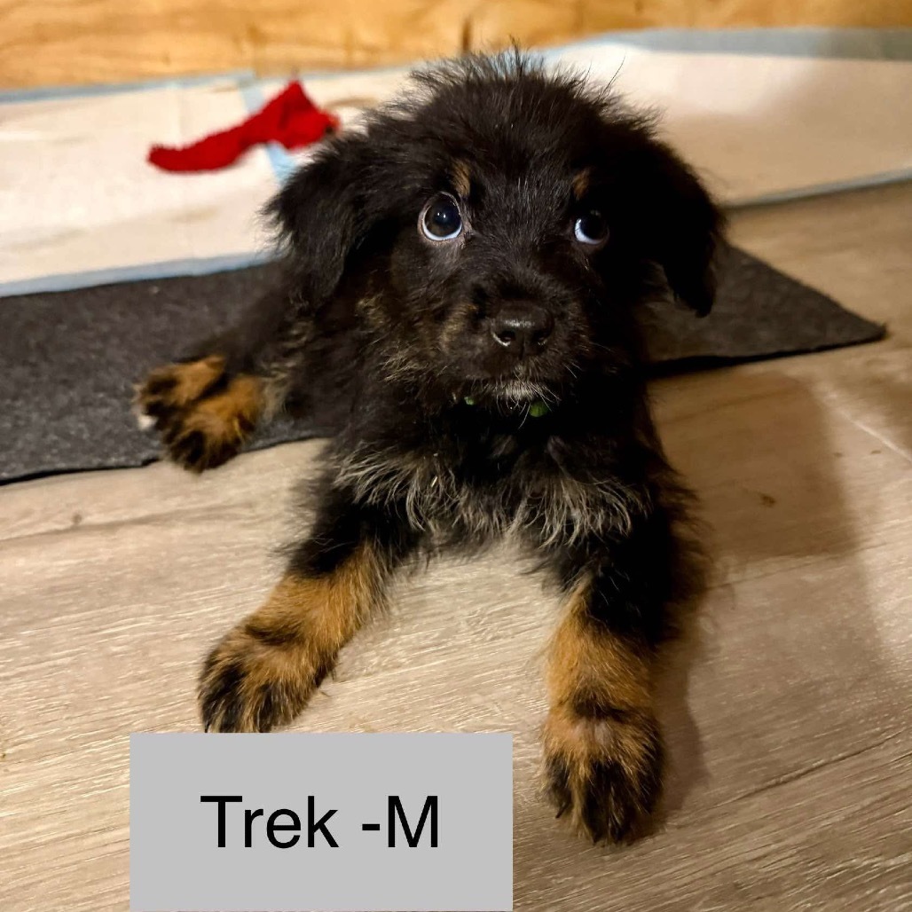 Trek Wanderlust