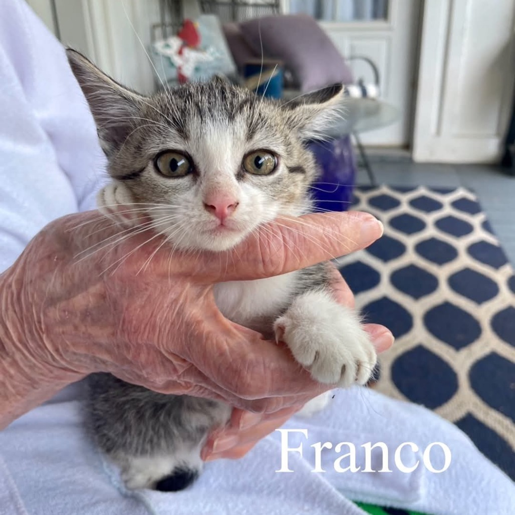 Franco