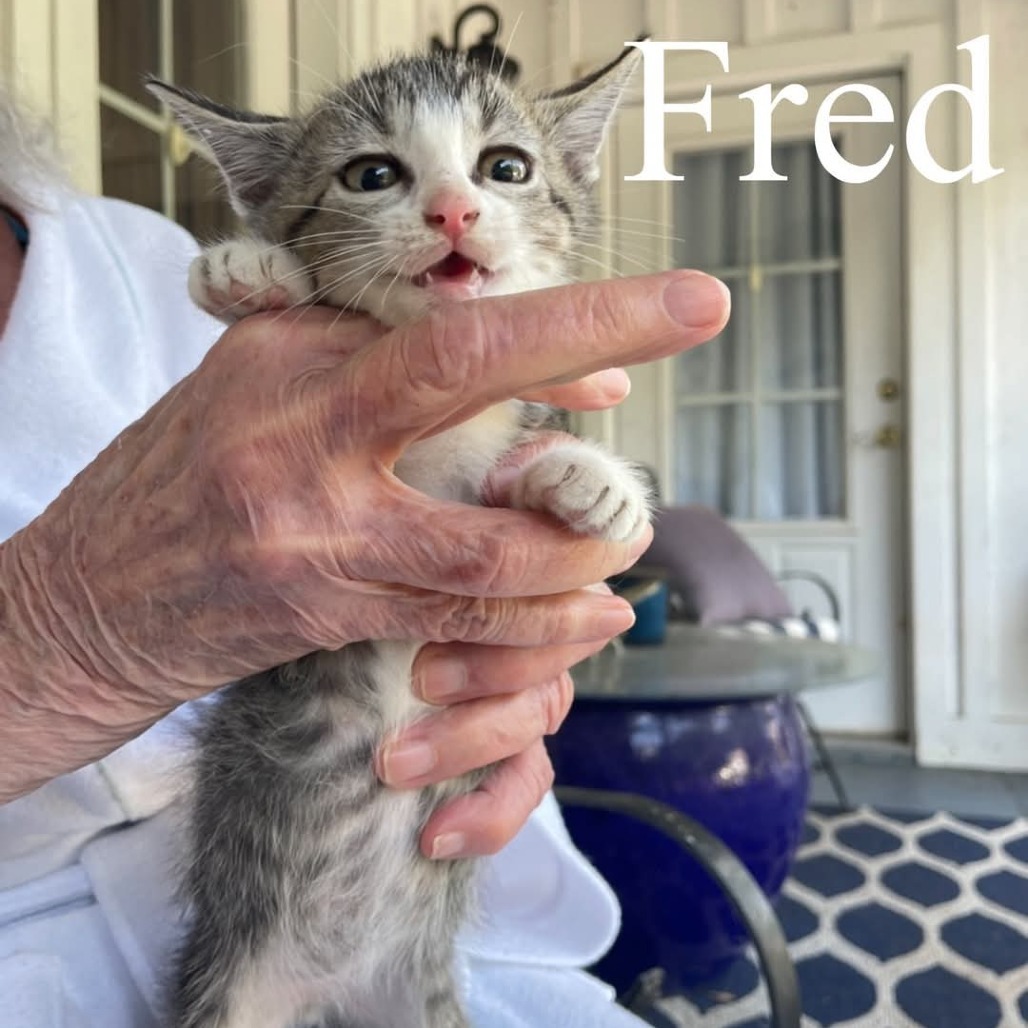 Fred