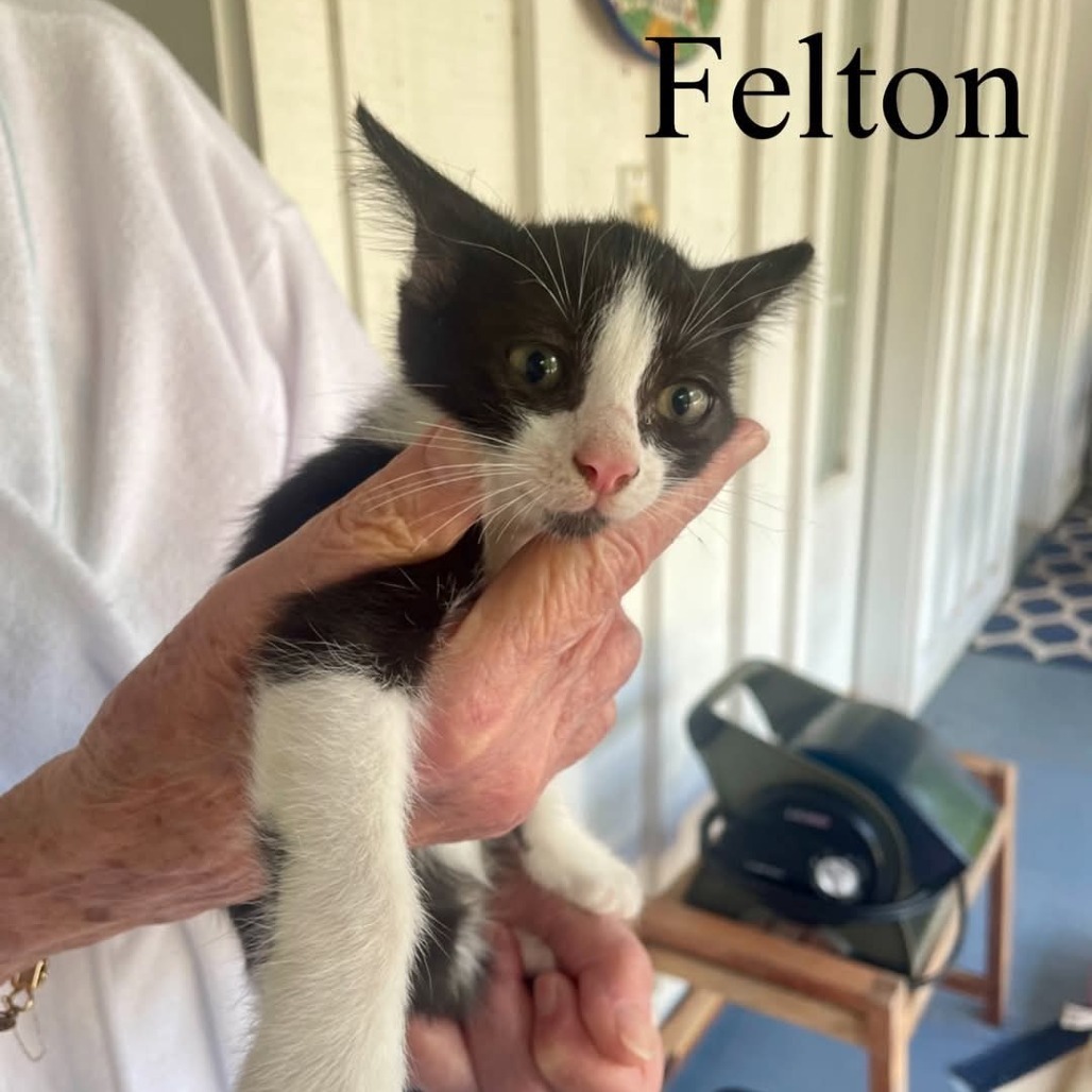 Felton
