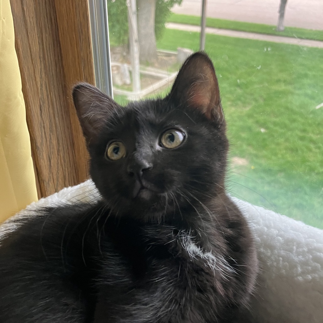 Miss Nelly
