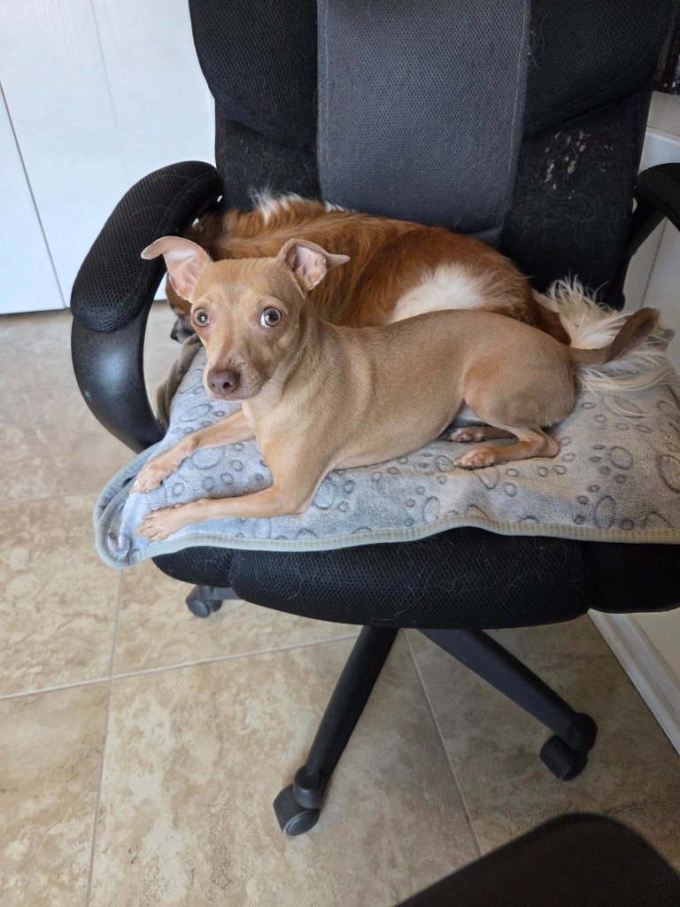 Nina