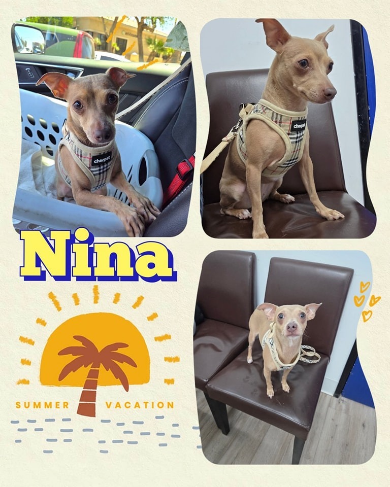 Nina