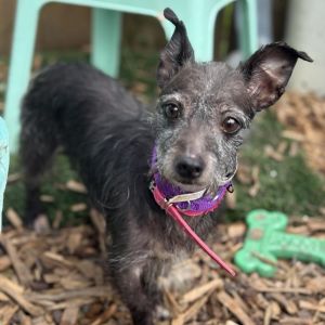 Maddie, Senior Female unknown