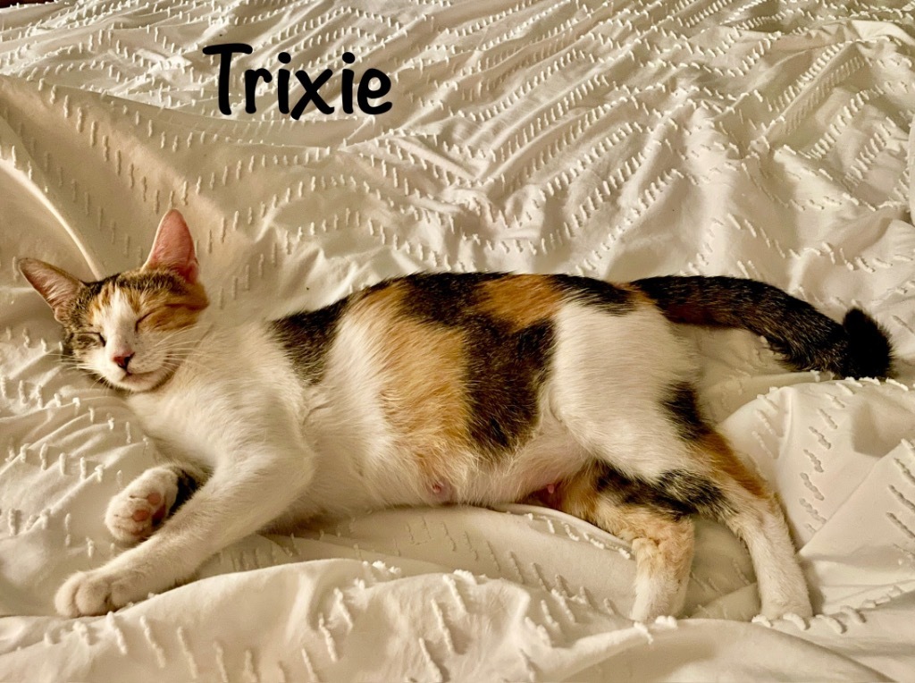Trixie