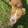 Adolpho photo 2
