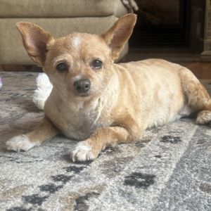 Babette (Bonnie OGU), Senior Female unknown