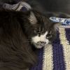Buddy photo 2
