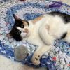 Callie photo 2