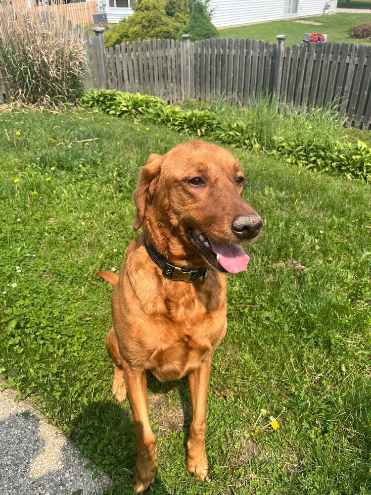 Oliver