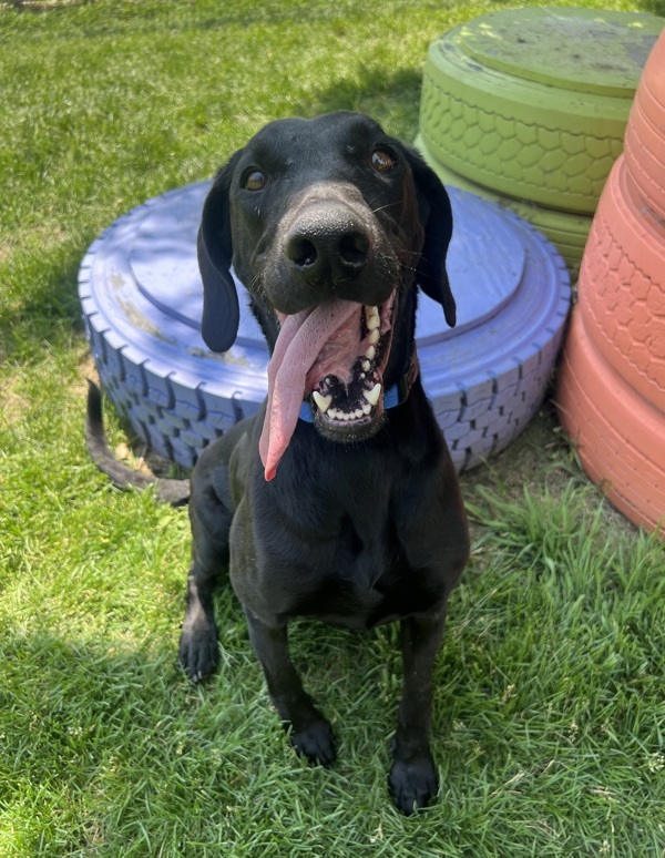 Mitzi