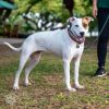 Maya photo 1