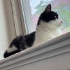Penelope, Princess Penelope photo 2