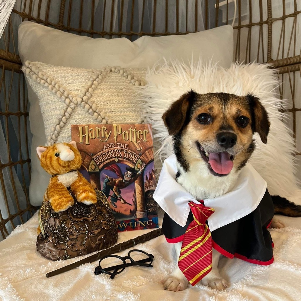 Hermione