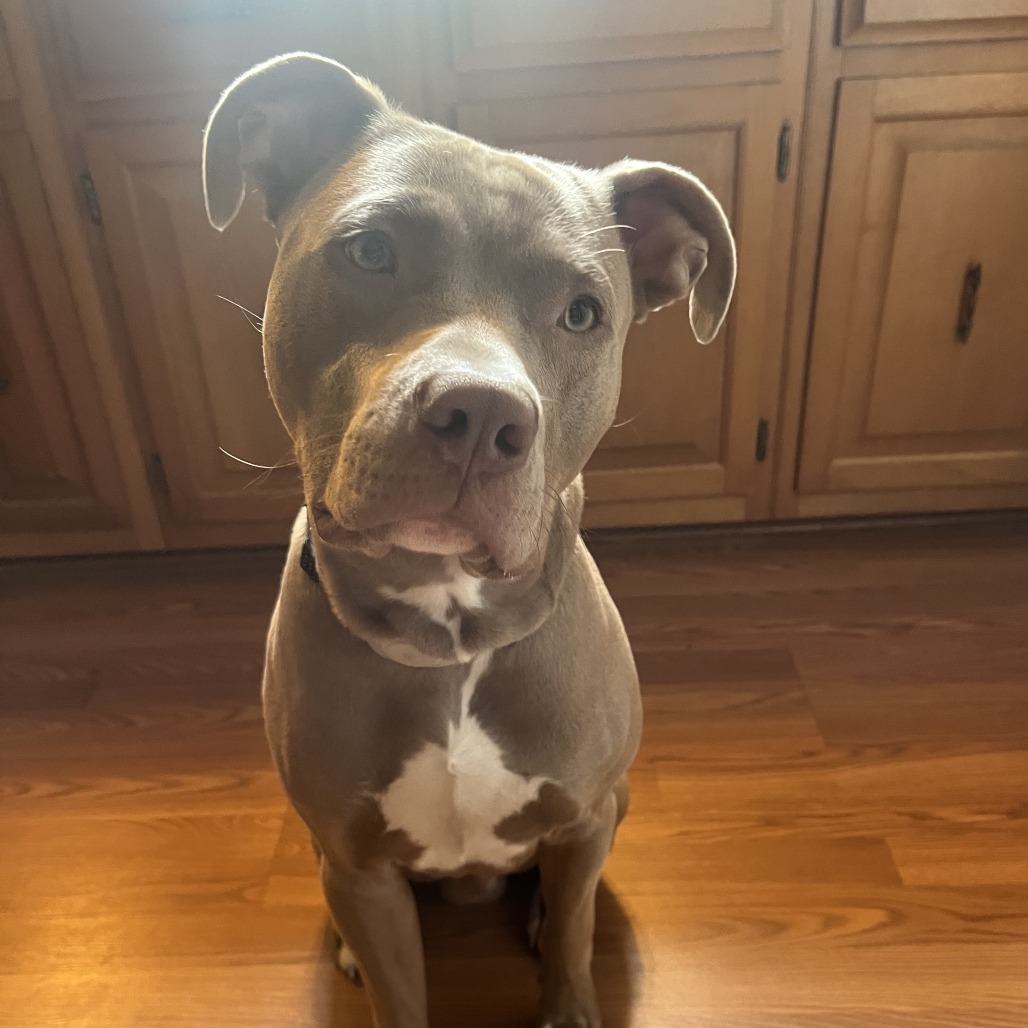 Jax