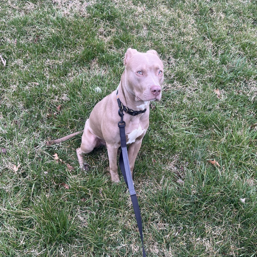 Jax
