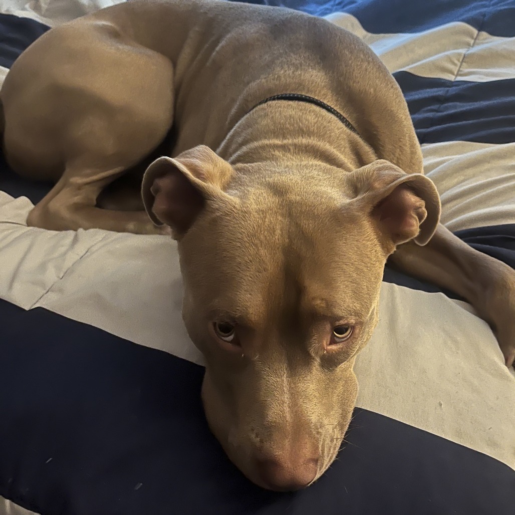 Jax