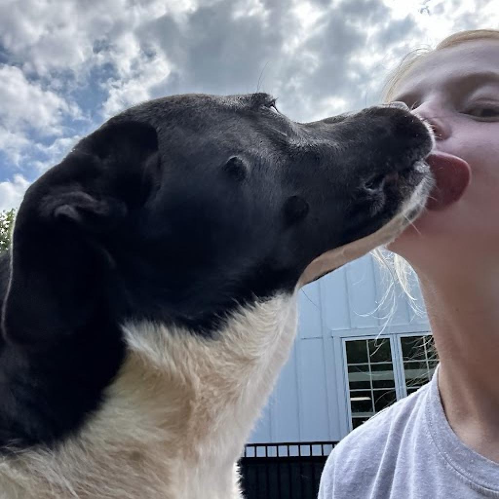 Otis
