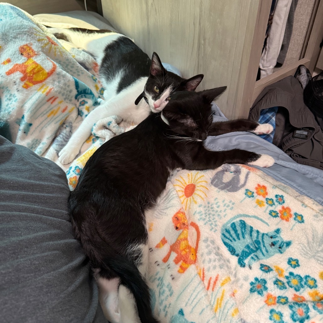Luke & Leroy
