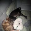 Coco photo 5