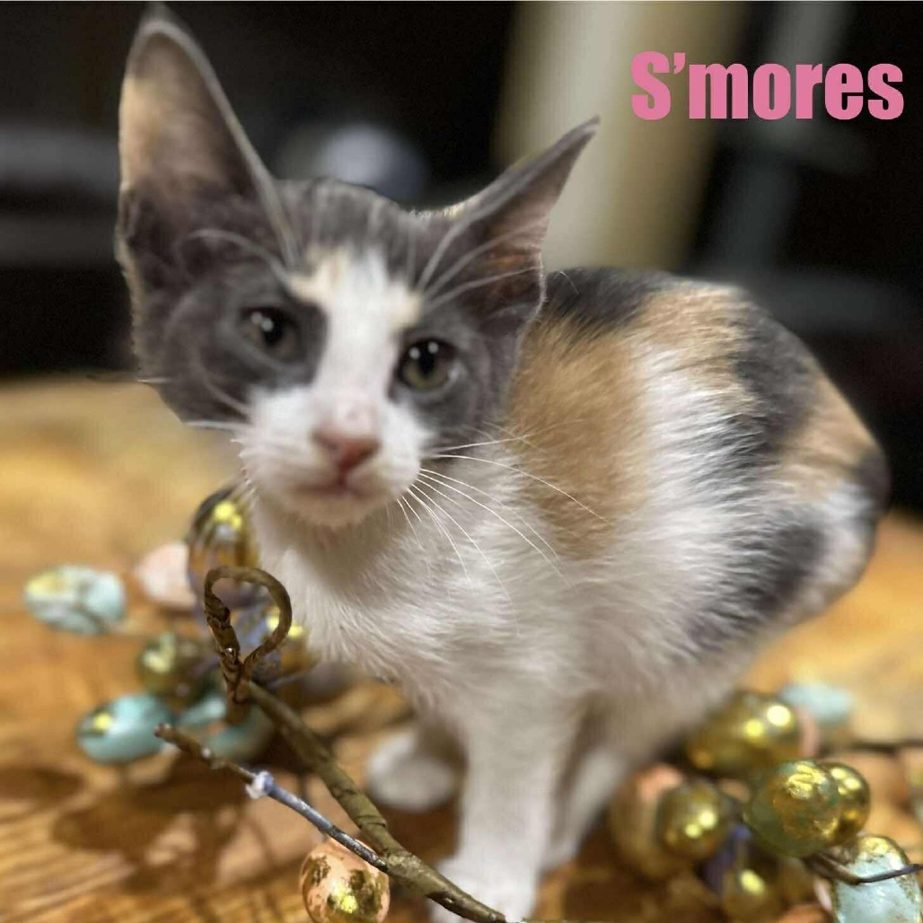 S'Mores JW