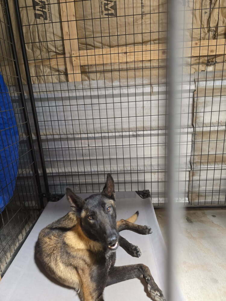 Cleo located in New Mexico