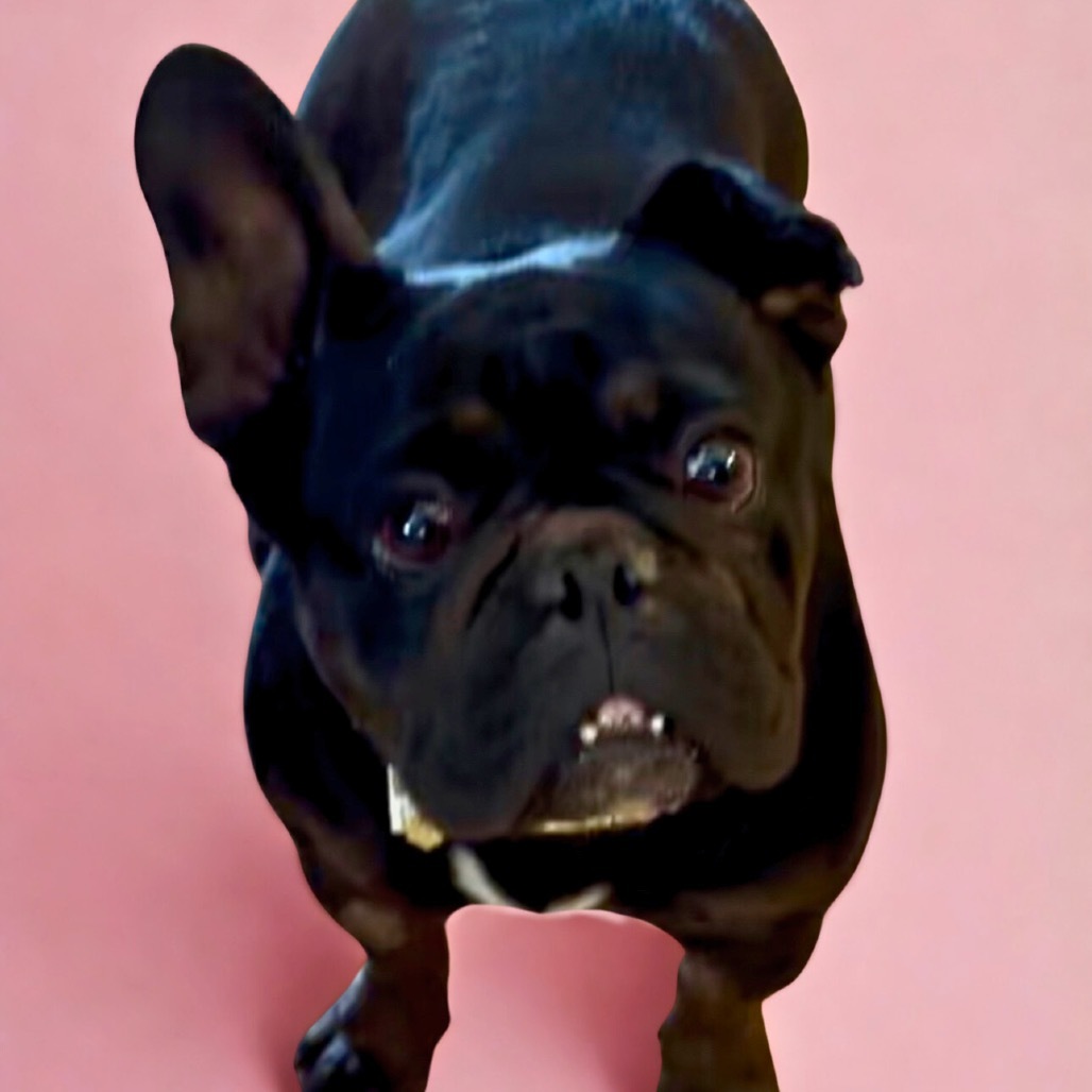 Nova