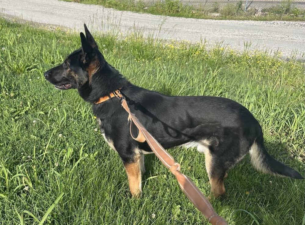 Gunnar