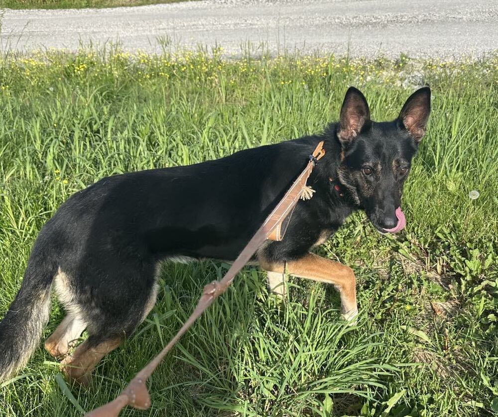 Gunnar