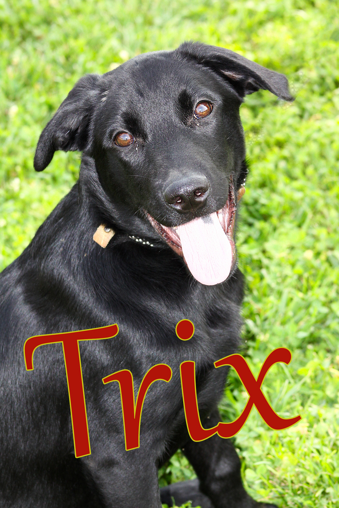 Trix