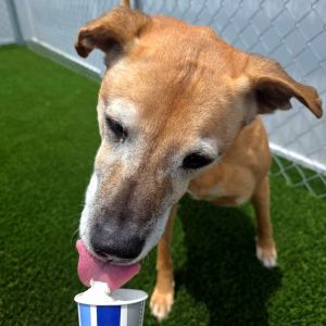 Rosebud, Senior Female unknown