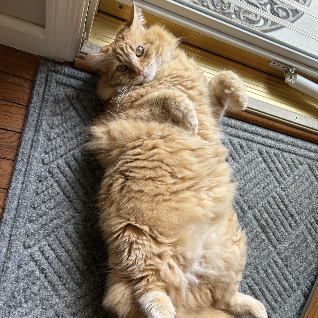 Fred