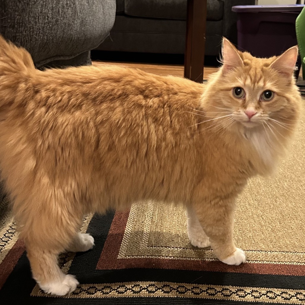 Ethel