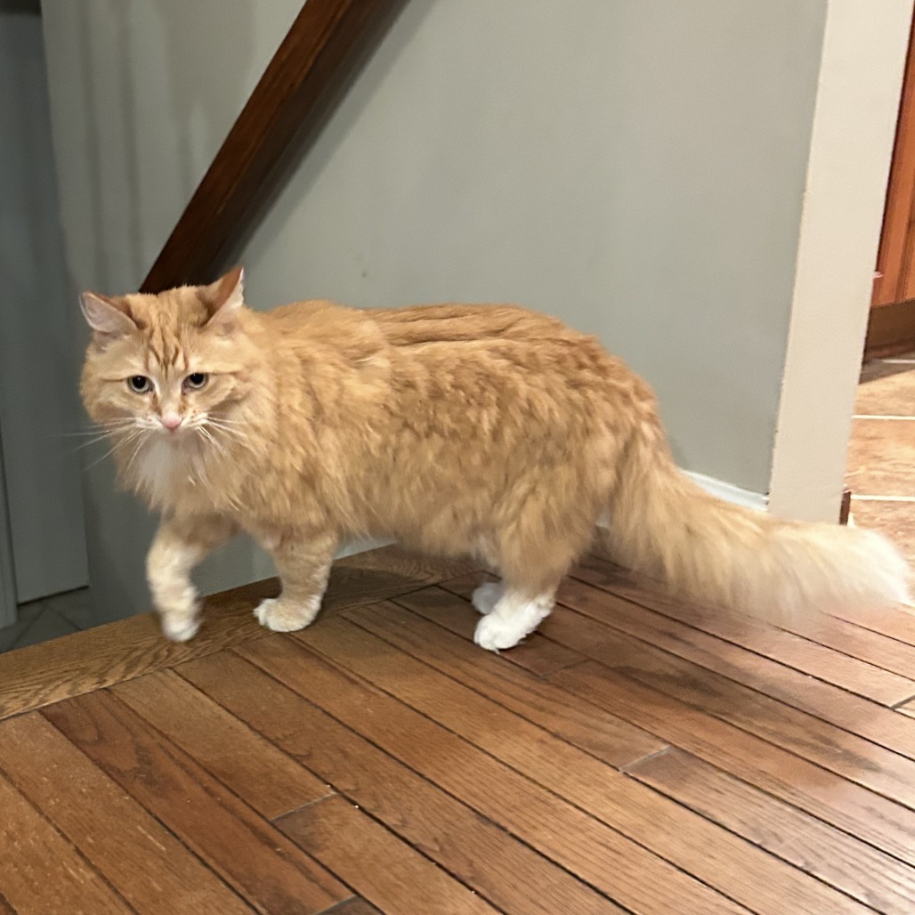Ethel