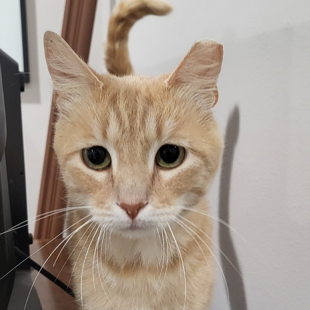 Oliver