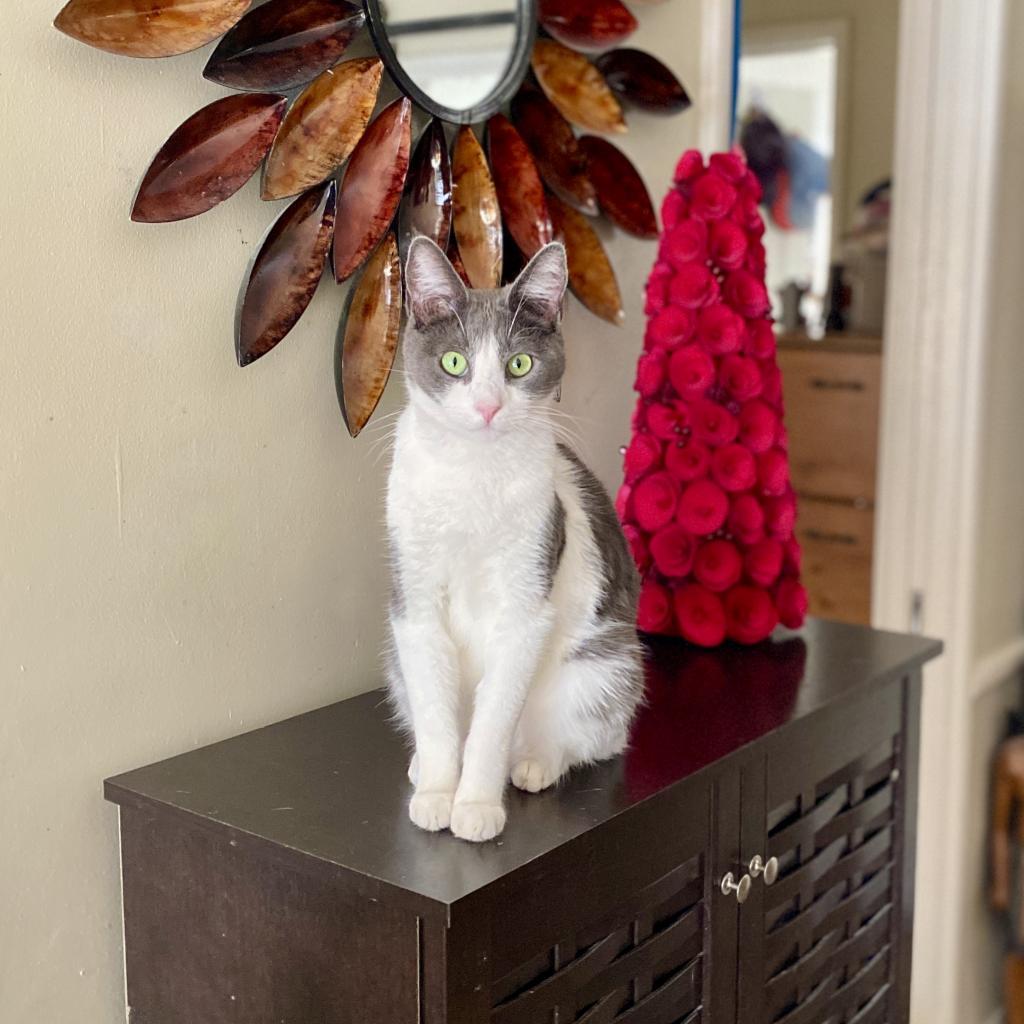 Luca