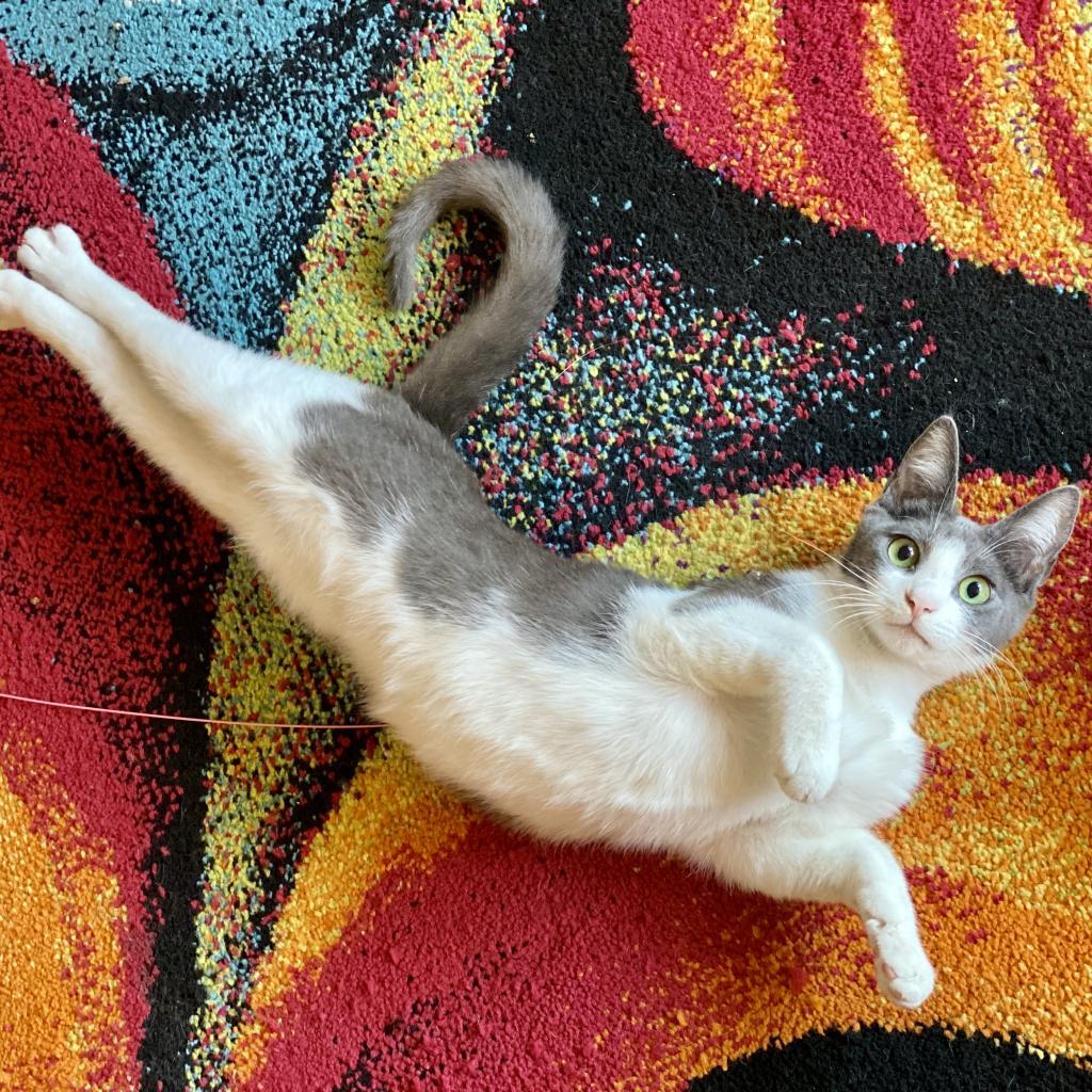 Luca