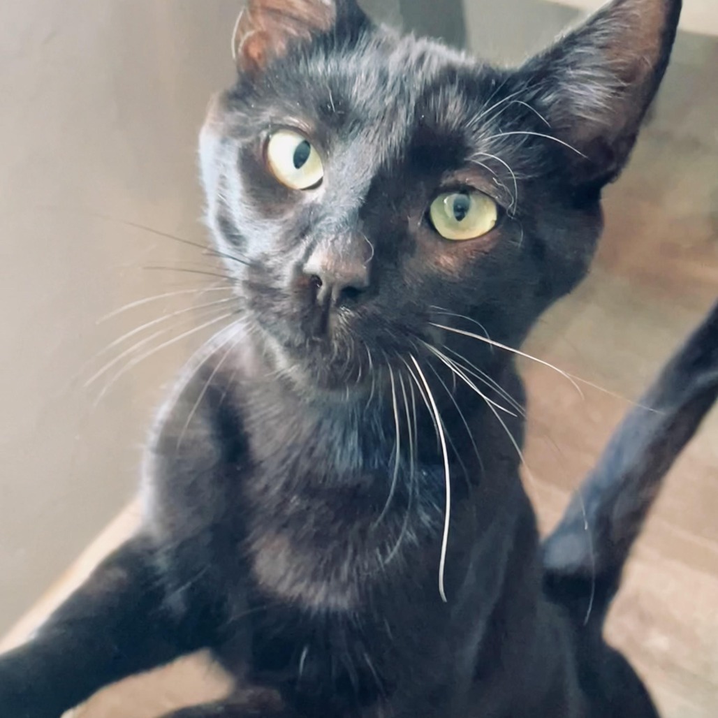 Binxie