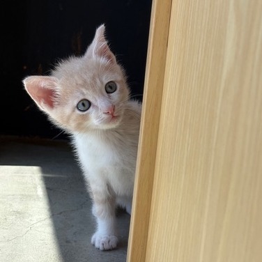 Benny
