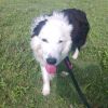 Sancho photo 2