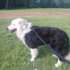 Sancho photo 3